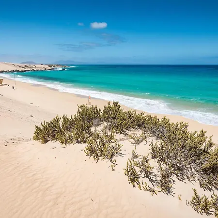 Apartament Home2book Sunny Apt, Terrace & Pool